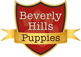 Bravery Hills Puppies